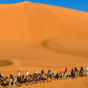 sahara desert